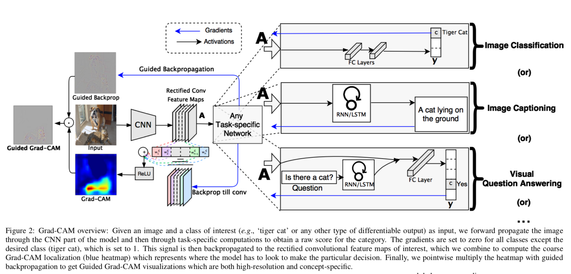 /public/img/grad-cam/gradcam_architecture.png